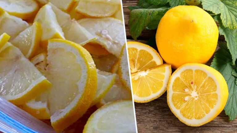 Pourquoi devrait-on couper les citrons et les mettre au congélateur Cette astuce étonnante…