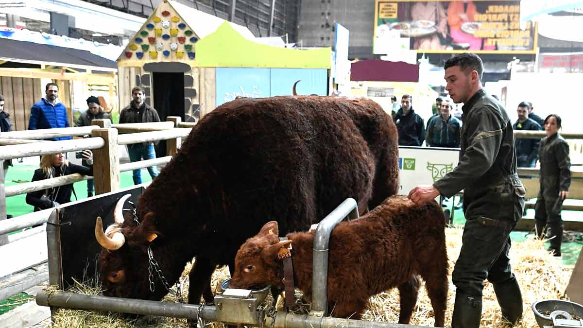 Salon de l’Agriculture Découvrez ce que font réellement Amazon, Lidl et McDonald’s au milieu des vaches