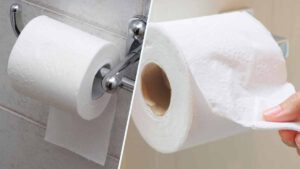 Test de personnalité la façon dont vous accrochez le papier toilette en dit long sur vous