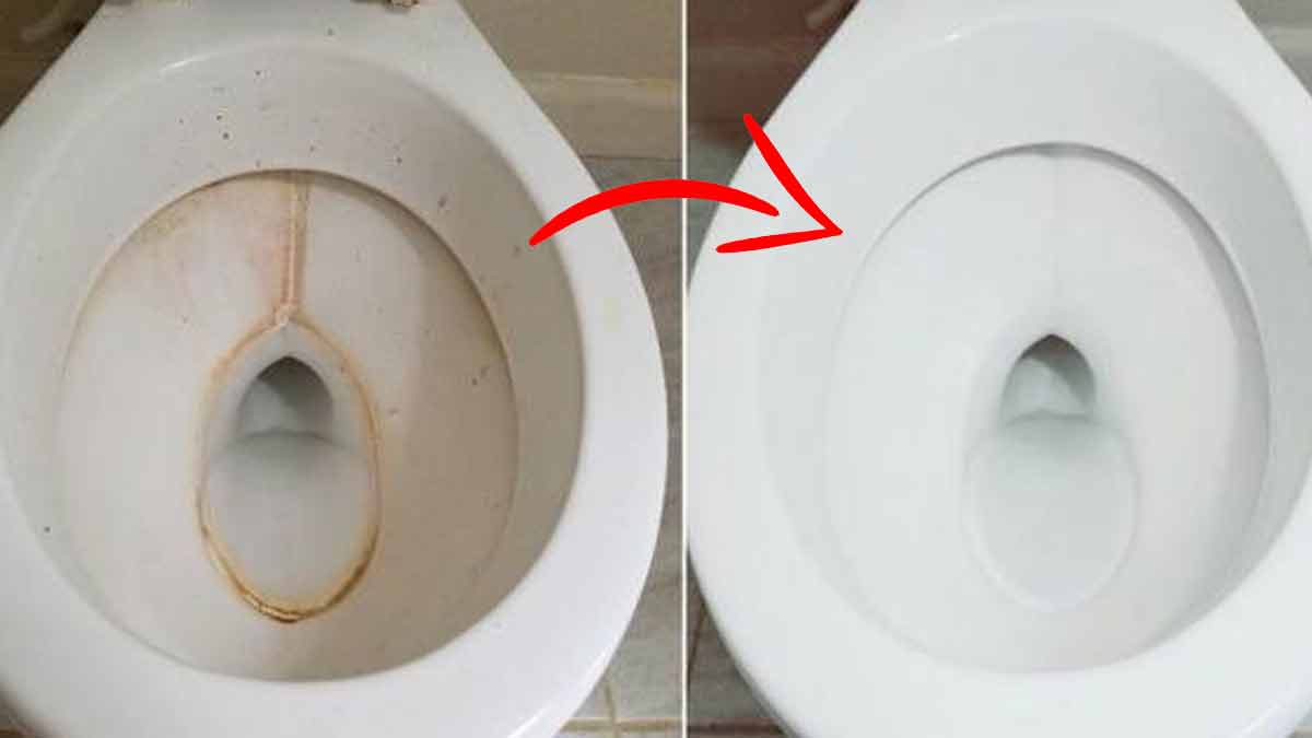 Voici 6 astuces magiques pour détartrer et éclaircir efficacement les toilettes au naturel