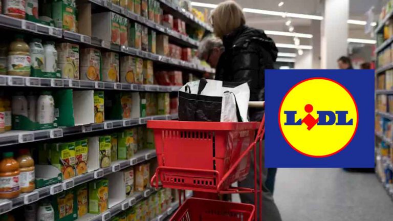 Découvrez le meilleur jour pour faire ses courses chez LIDL tout en faisant des économies