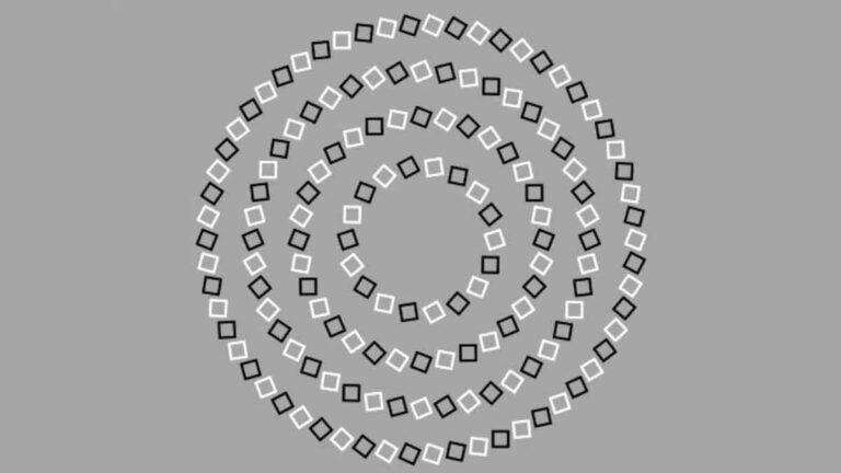 Illusion d’optique révélatrice de votre QI Faites-vous partie des génies capables de trouver le bon nombre de cercles sur cette image