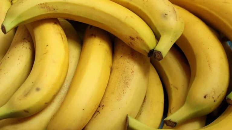 Découvrez comment conserver une banane pour les garder en bonne état