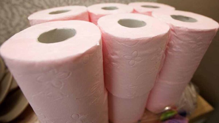 Le papier toilette est en train de vivre ses derniers instants  voici son remplaçant