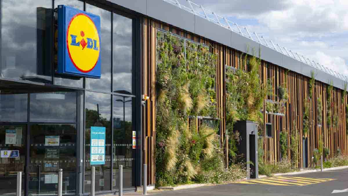 Lidl des poubelles de produits aspergées de javel, l’employé donne sa version des faits