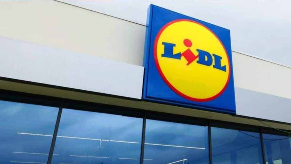 ALERTE Lidl : l’enseigne met dans ses rayons un appareil à 18 euros pour lutter contrer les piqûres de moustiques !