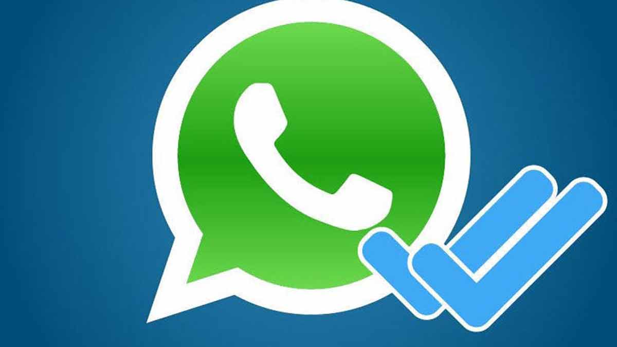 WhatsApp Voici comment savoir si un contact a lu votre message malgré l’absence de confirmation de lecture