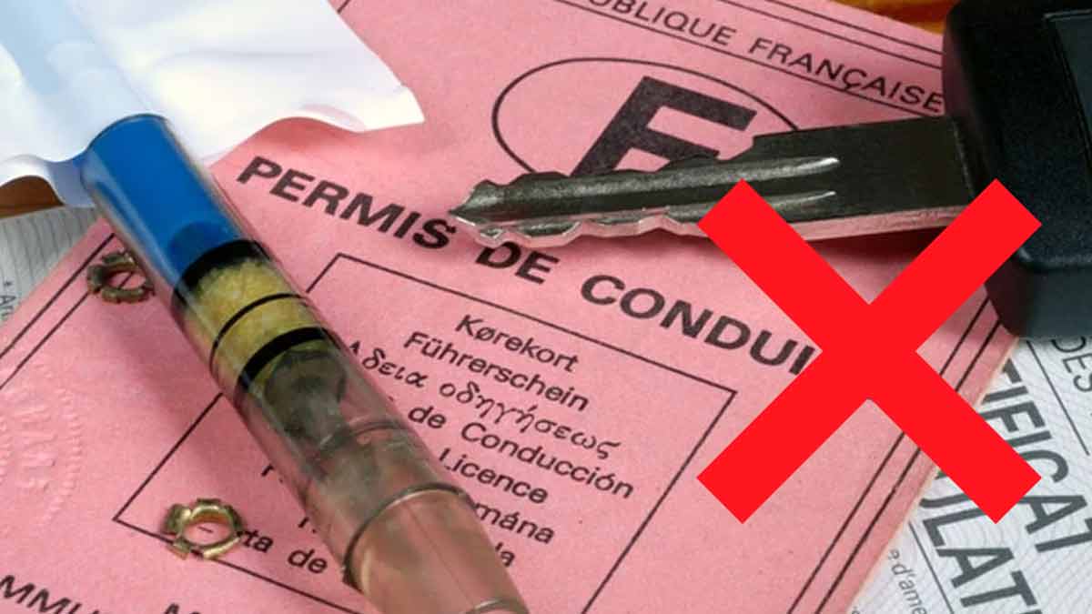 ATTENTION, Votre permis de conduire rose devient obsolète, vous avez jusqu'à cette date pour le changer