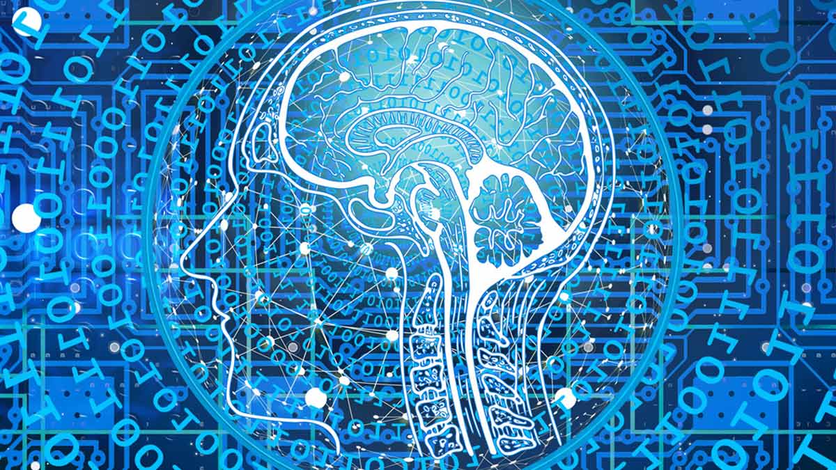 Le flux d’électricité dans le cerveau humain peut être prédit à l’aide des mathématiques simples des réseaux, selon une nouvelle étude