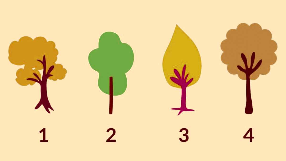 Test de personnalité choisissez un arbre pour savoir si vous avez confiance en vous ou non