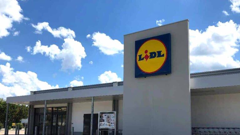 ALERTE Info Lidl met en vente un ventilateur parfait pour ne pas mourir de chaud cet été !