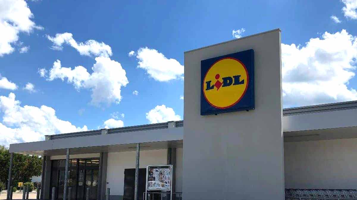 ALERTE Info Lidl met en vente un ventilateur parfait pour ne pas mourir de chaud cet été !