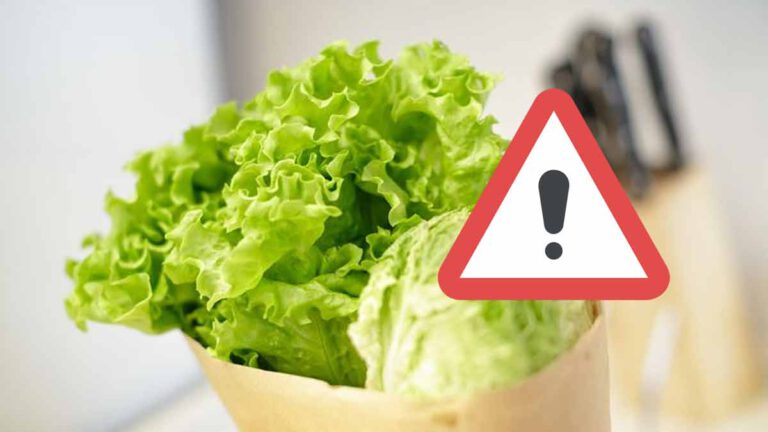 ALERTE Info, cette salade contaminée à la salmonelle est victime d’un rappel massif, ne la consommez pas !