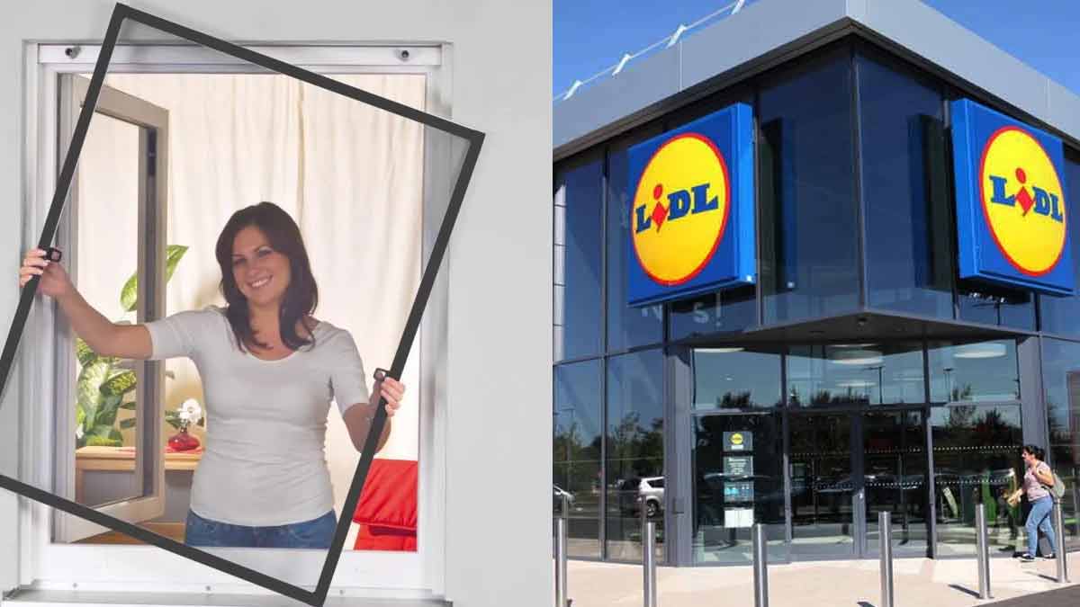 ATTENTION Lidl L’enseigne met en vente sa moustiquaire en aluminium nécessaire pour cet été 2023 !