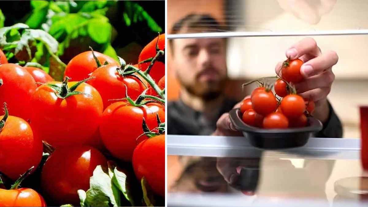 Attention, Ne mettez JAMAIS vos tomates au réfrigérateur, C'est une mauvaise idée !