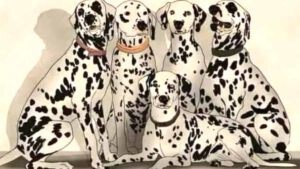 Défi visuel : êtes-vous assez attentif pour trouver le panda caché parmi les dalmatiens ?