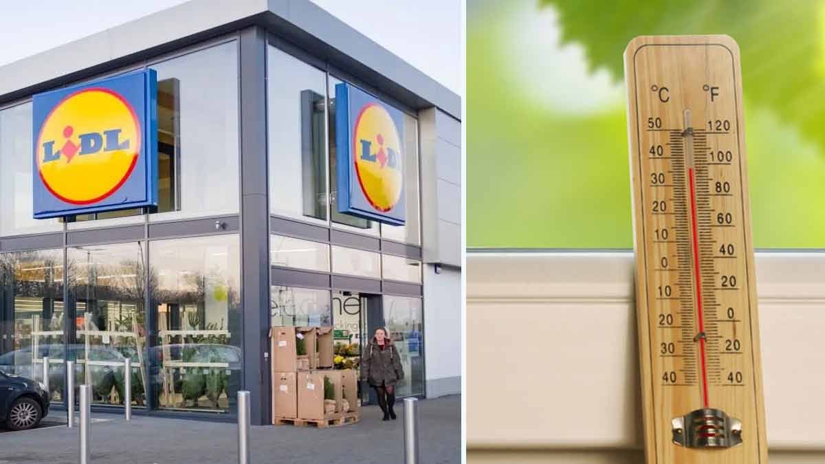 Lidl lance la solution ultime pour ne pas avoir chaud pendant la canicule cet été !