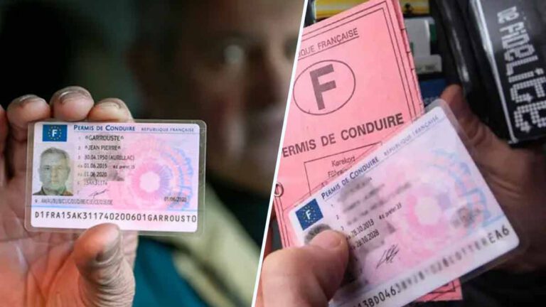 Permis de conduire : Cette astuce infaillible et gratuite pour récupérer rapidement vos points perdus !