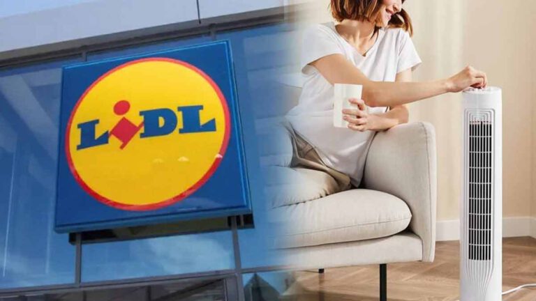 ALERTE Info Lidl attire tous les regards avec ce mini ventilateur ultra efficace contre les grosses chaleurs de la période estivale !