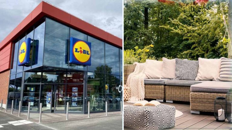 Cohue chez Lidl avec ce tout nouveau fauteuil de jardin parfait pour se détendre cet été !