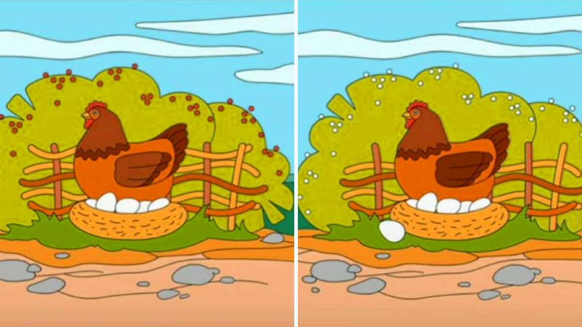 Illusion d’optique Seul les personnes qui ont les yeux d’aigles peuvent trouver la différence entre ces deux images en 20 secondes