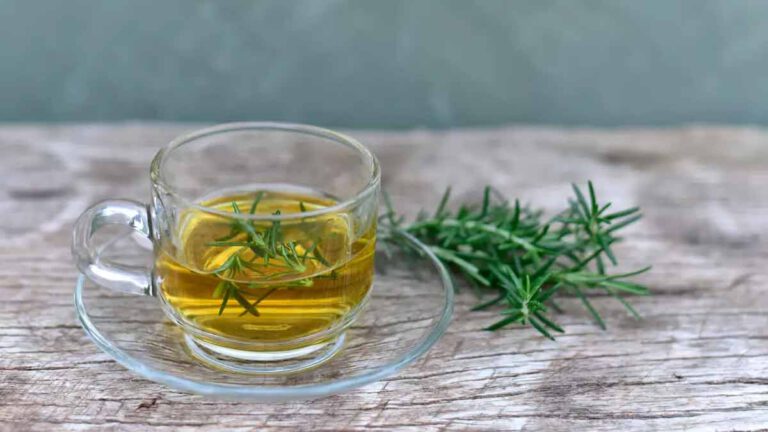 Infusion de romarin  Découvrez les 5 bienfaits de cette tisane sur votre santé