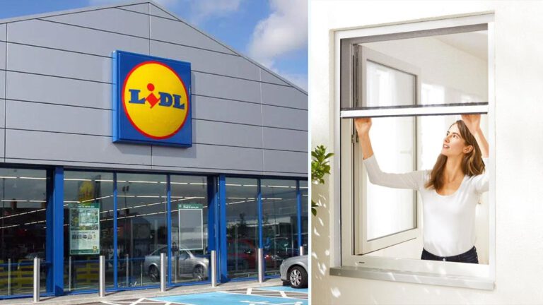 Lidl L’enseigne met en vente sa moustiquaire en aluminium à prix cassé et très efficace pour cet été 2023 !