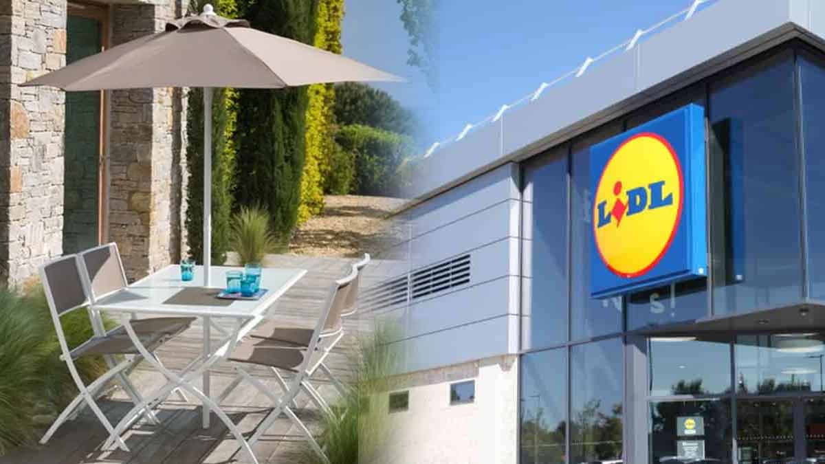 Lidl met en vente le plus bel ensemble de jardin à un prix assez abordable !