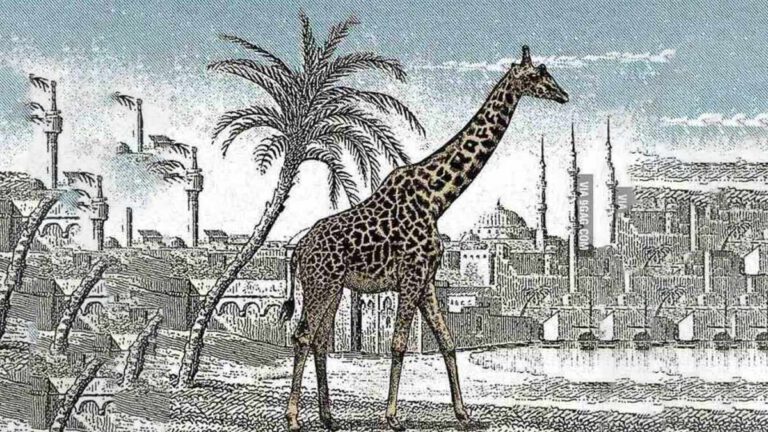 Test d’illusion d’optique : Réussirez-vous à repérer la 2ème girafe en seulement 6 secondes ?