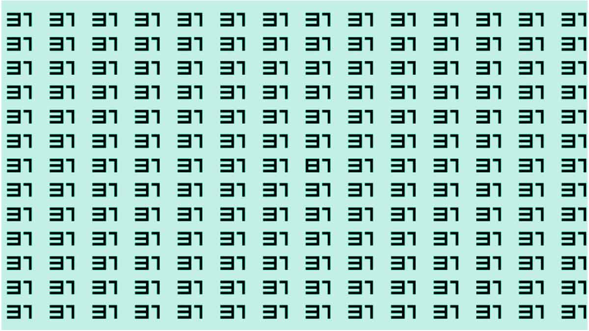 Test d’observation ceux qui ont des yeux de faucon vont réussir à trouver le nombre 81 parmi 31 en 12 secondes