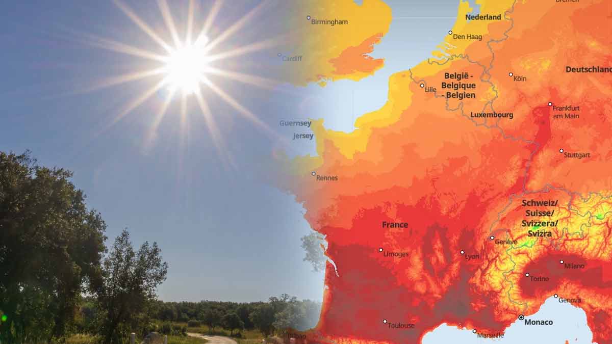 Alerte canicule  un dôme de chaleur annoncé pour la France la semaine prochaine avec des pics à 40 ° C