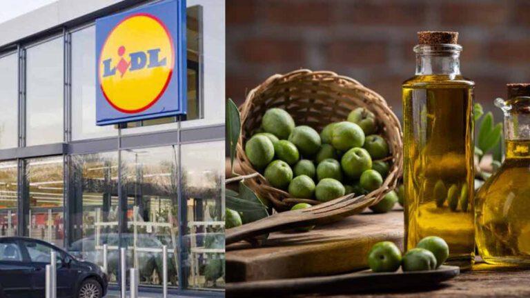 Découvrez ce que vaut vraiment l’huile d’olive Lidl d’après 60 millions de consommateurs et UFC que choisir !