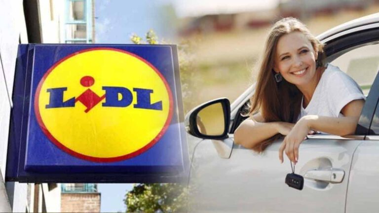 Lidl séduit avec ces trois indispensables à avoir absolument dans sa voiture cet été