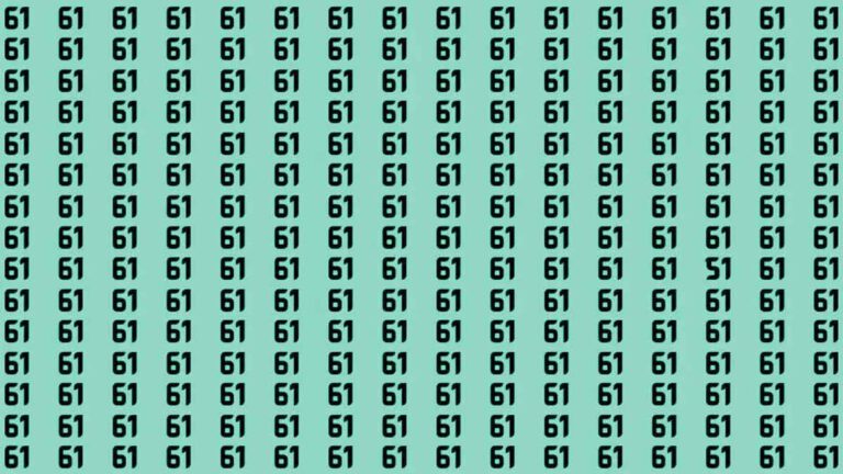 Test d’observation Seules les personnes qui ont les yeux de faucons peuvent trouver le numéro 51 parmi 61 en moins de 15 secondes