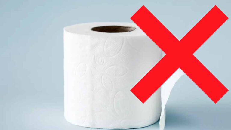 Fin du papier toilette : la date d’arrêt approche, son remplaçant enfin dévoilé