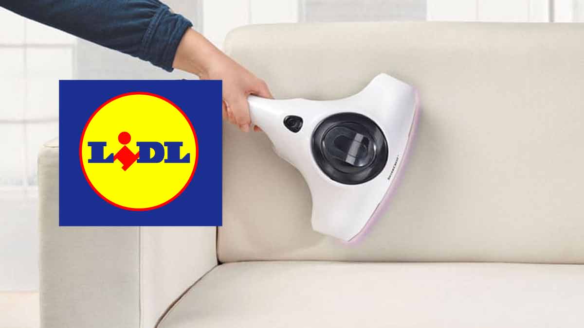 Cohue chez Lidl avec son aspirateur révolutionnaire anti-acarien ultra efficace à moins de 50 euros