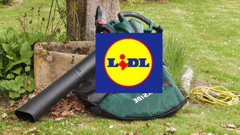 Lidl cet aspirateur souffleur broyeur à moins de 40 euros est une vraie réussite!