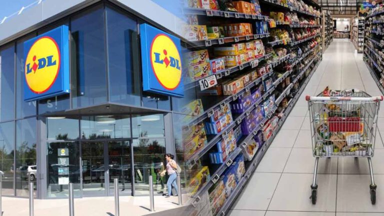 Lidl en pleine tourmente une nouvelle enseigne concurrente moins cher va ouvrir 11 magasins en France