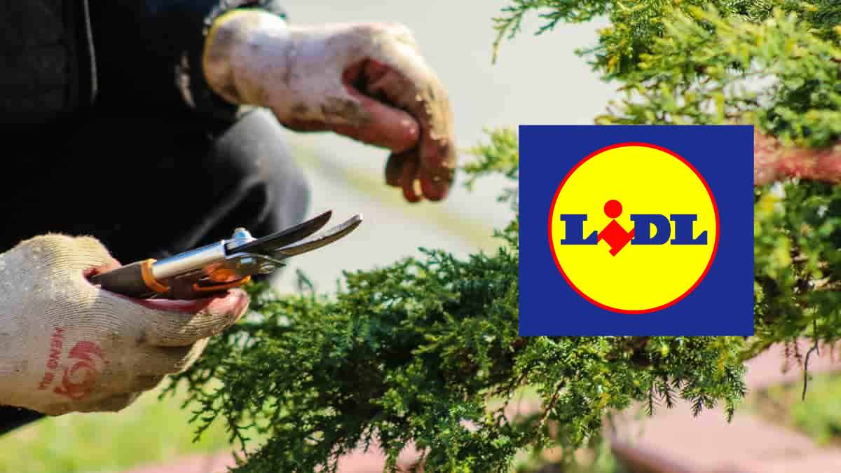 Lidl lance ce nouvel outil très pratique qui va vous faciliter la vie au jardin