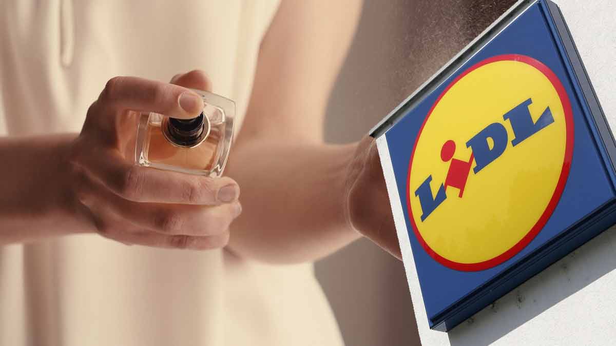 Lidl explose ses ventes avec ses dupes de parfums de luxe à petit prix