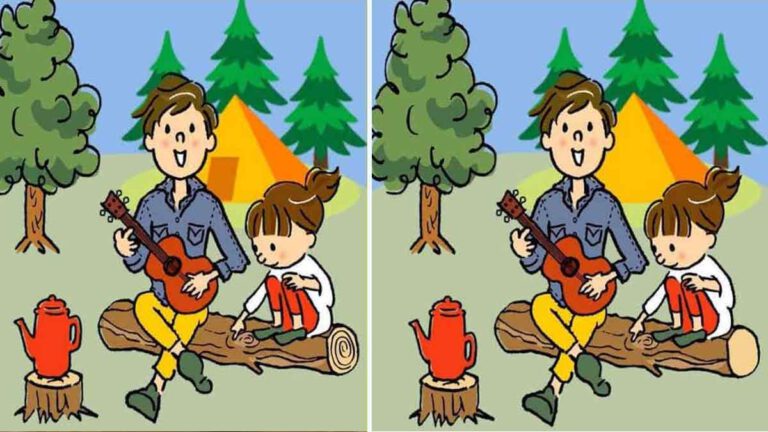 Êtes-vous capable de trouver les 3 différences entre les images de camping en 10 secondes