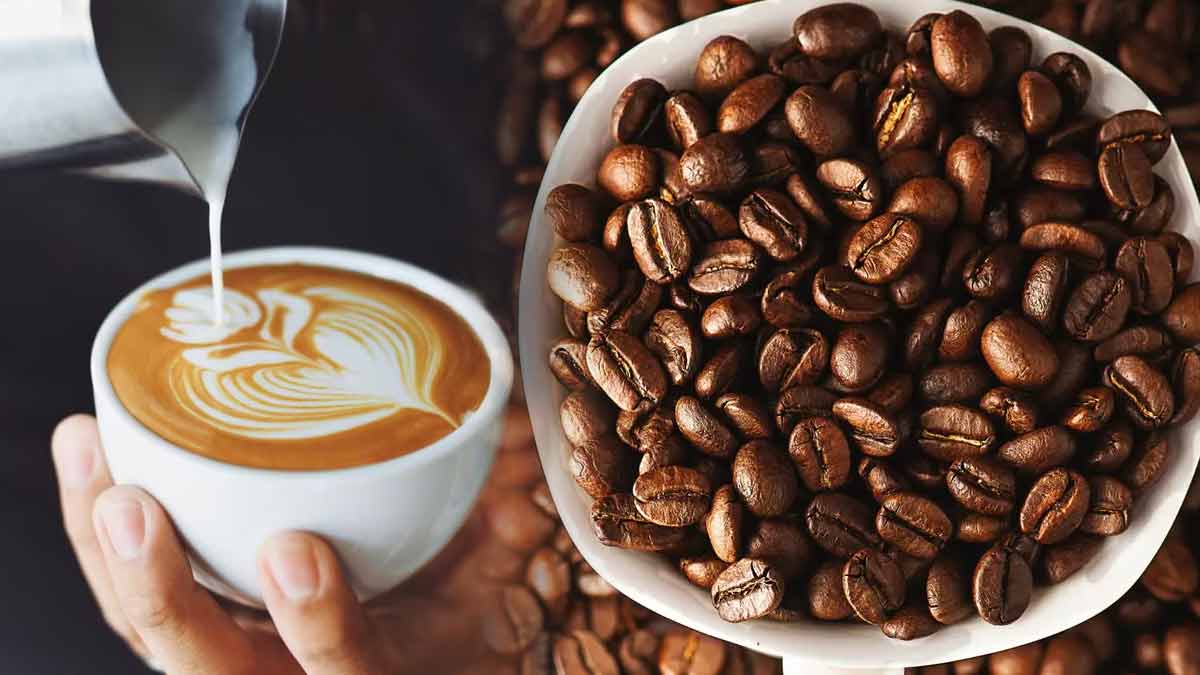 Café robusta : son prix du robusta atteint un niveau record cette année !