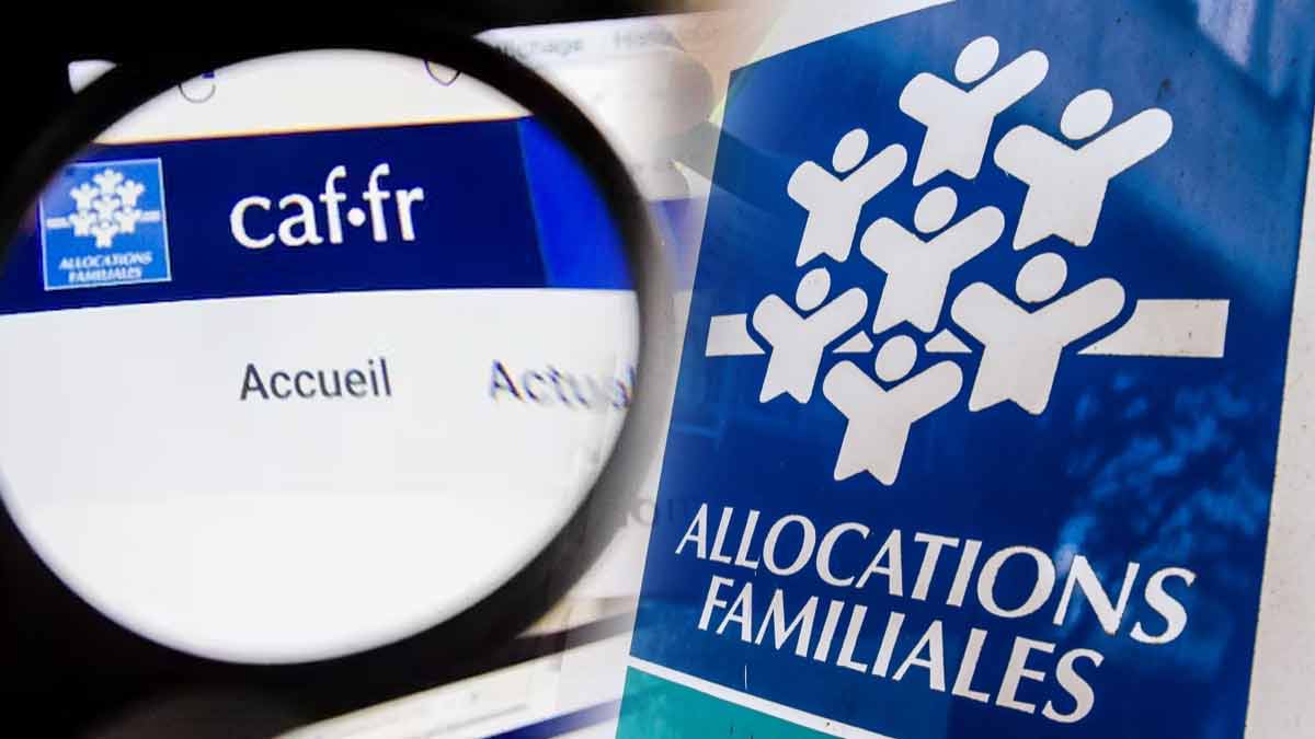 Fraude sociale : découvrez comment procède la CAF pour contrôler ses allocataires