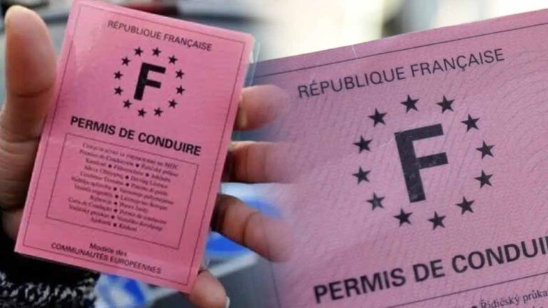 Permis de conduire rose : il ne sera plus valable, découvrez la date finale pour le changer