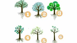 Test de personnalité : l’arbre que vous choisissez dévoilera votre façon d’être