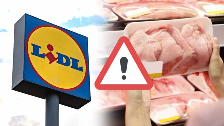 Vous achetez votre viande chez Lidl ? 70 % des volailles contaminées par des bactéries d’après une enquête