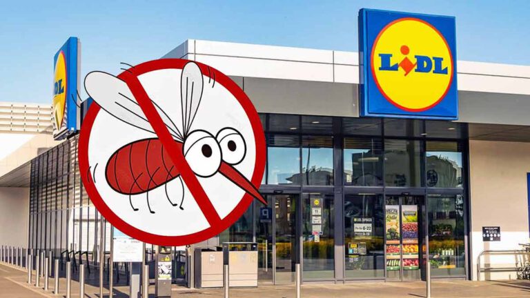 Vous allez vous débarrasser des moustiques avec ces articles vendus par Lidl