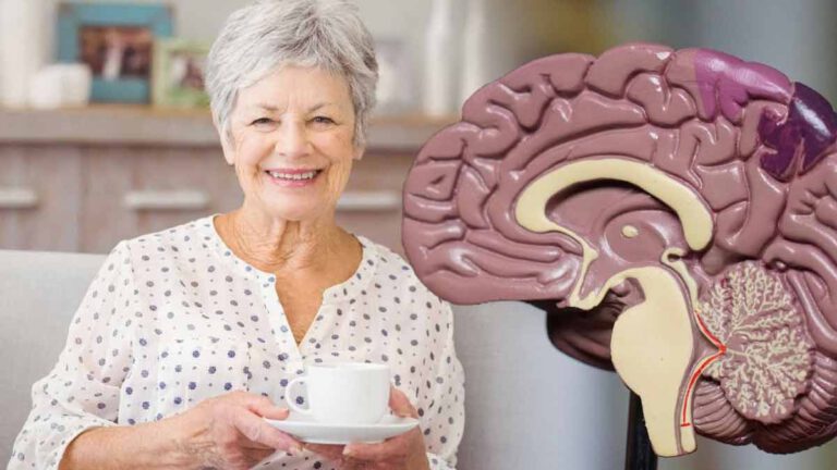 Maladie d’Alzheimer : les effets de la caféine sur cette maladie