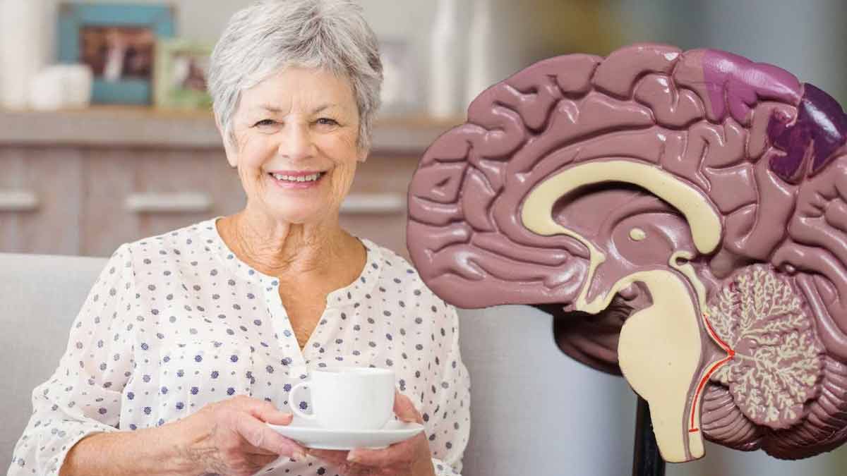 Maladie d’Alzheimer : les effets de la caféine sur cette maladie