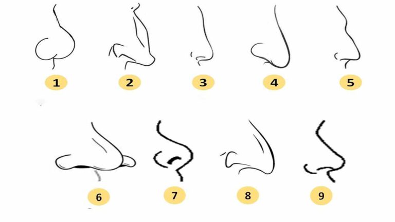 Votre forme de nez en dit long sur votre personnalité